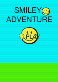 smiley adventure