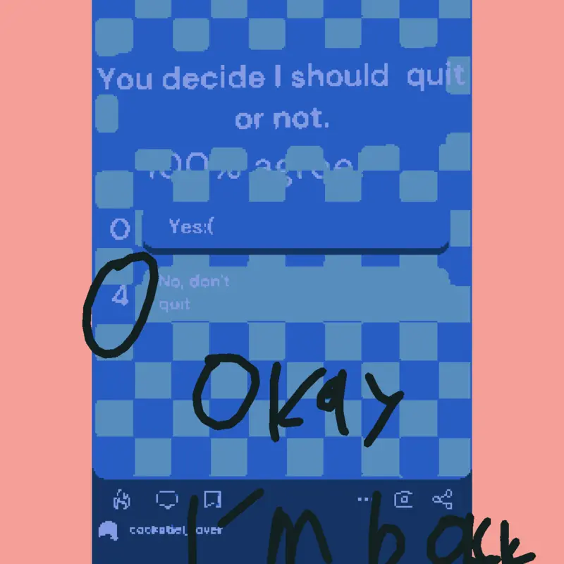 I'm back by @cockatiel_lover