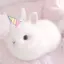 unibunni avatar