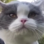 BIGBILLY_ avatar