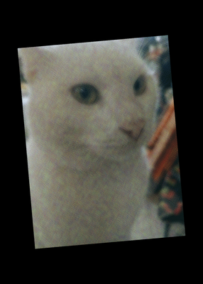snapshot