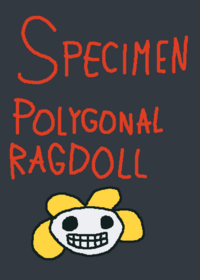 Specimen Polygonal Ragdoll