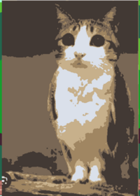 Meowl new soul