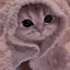 Lonya123abc avatar