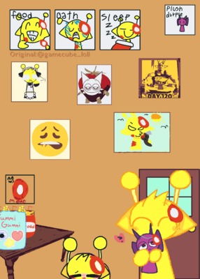 snapshot