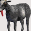 hammi127 avatar