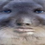 BradyFry avatar
