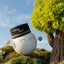 white_ball_827 avatar