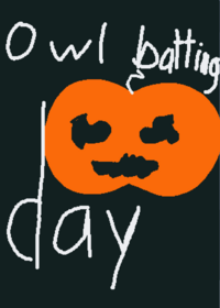 Owl batting day