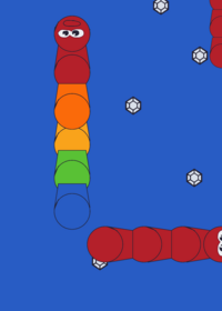 Worm