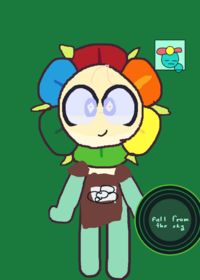 Dandy ragdoll