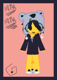 Koala kid ragdoll