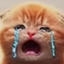 plauwhldilp avatar
