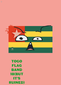 FLAG BAND BUT IT'S RUINED MY VERSION (18