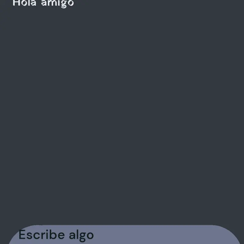 Amigo chat by @chanchi_en_espanol