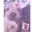 DAWG-ZI avatar