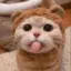 -waffle-cat- avatar