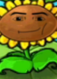 qpqpJLVQxt05