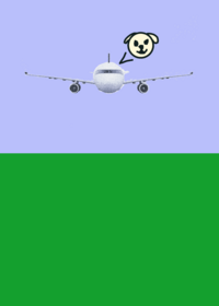 Plane crash