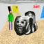 castle404 avatar