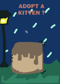 Adopt a kitten!!