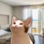 theDaveguy avatar