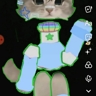 @kittycat2027
