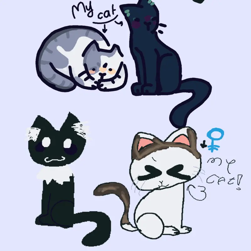 Game by @-Catnap-Berfin-
