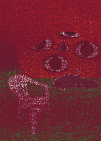 Plastic chair