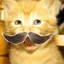 MEEEOOW avatar