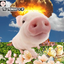 a_littleflyte avatar