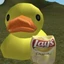 Nolipi avatar