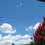 Dastro_sky avatar