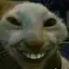 Vince879 avatar