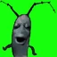 nikako_lan avatar