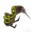 noahkiwi avatar