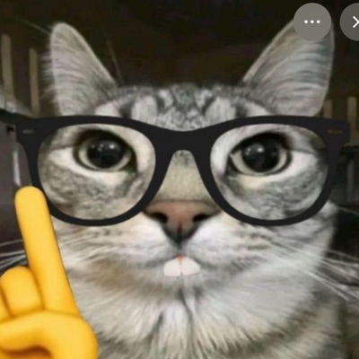 @Erm_CAT