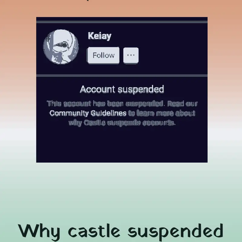 Why did was permanently suspended always by @TigerDragon2026