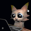 dulki avatar