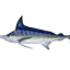 randombluemarlin avatar