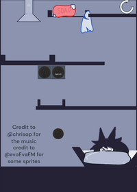 Miss circle's room