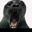 jarkyboi avatar