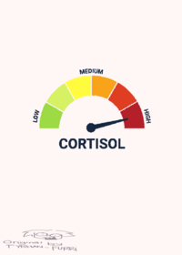 Low cortisol animation meme tyrhan