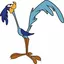 correcaminos avatar