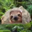 ThatOneAwsomeSloth avatar