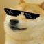 mDeniz avatar