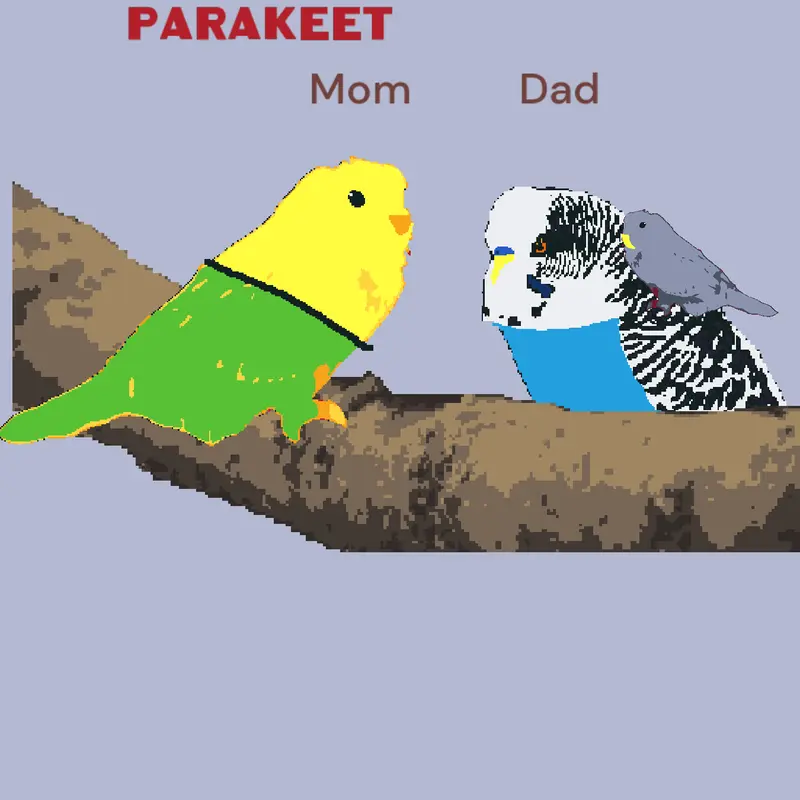 Game by @home_bird