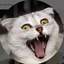 TeddyAfifa avatar