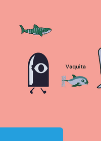 Whale size comparison