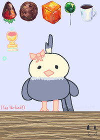 i dont actually own a cockatiel hehe